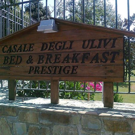 Casale Degli Ulivi Prestige Bed and Breakfast Altavilla Silentina Buitenkant foto