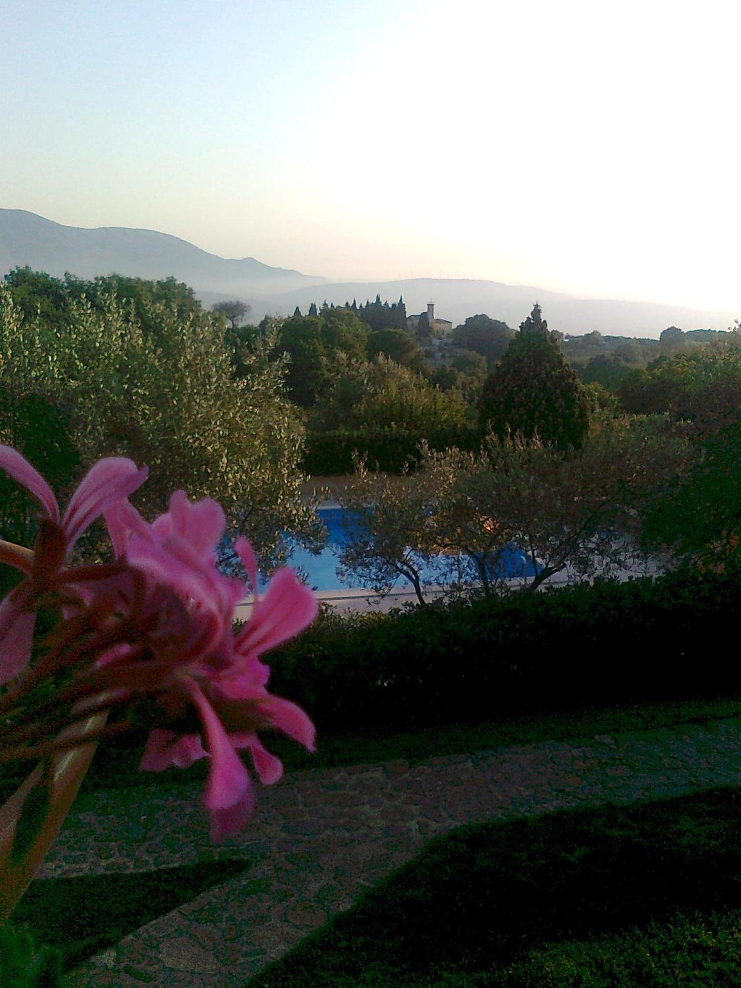 Casale Degli Ulivi Prestige Bed and Breakfast Altavilla Silentina Buitenkant foto